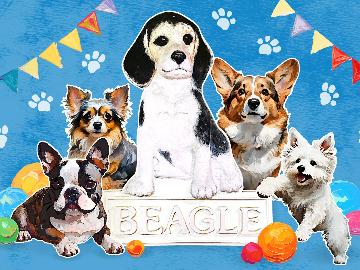 ペンション ビーグル