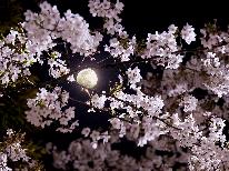 【春限定・1日3組】お部屋から夜桜を愛でる特別なひととき~お菓子とお茶の特典付き贅沢お花見~