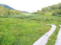 【雲上のお花畑】 栂池自然園入園券＋パノラマウェイ往復乗車券 らくらく宿泊パック ☆【1泊2食】