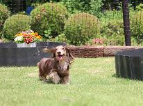 【素泊まり】自由気ままにわんちゃんと一緒に那須観光♪チェックインは22時までOK！　