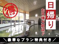 【日帰りランチ】ちょっと贅沢♪貸切個室でゆったりとお食事！もちろん日帰り温泉付き【プラン特典付き】