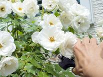 【バラのお手入れ講座】併設のバラ園で季節に合わせたバラのお手入れ方法をレクチャー