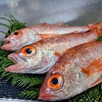 ゆったり朝夕個室食で☆浜坂・松葉カニ鍋・地エビとノドグロプラン。【貸切温泉無料】