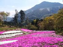 【秩父春旅：特典付】　あみだくじで景品が当たる　芝桜が見頃♪スタンダードー2食付