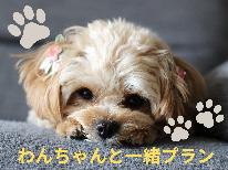 【わんちゃんと一緒：金目鯛の煮付け】　※ペット同伴専用プラン！女将特製金目鯛の煮付け－2食付ー