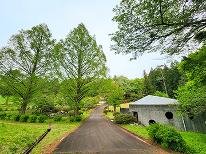 【キャンプ】〈区画サイト／車横付けOK〉過ごし方はあなた次第！思いのままに過ごす自由なひとときを