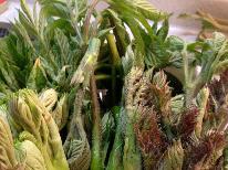 【山菜】×【牛すき鍋】旬を味わう☆春の息吹を五感で堪能して心も体もリラックス◆個室食◆［特典付き］