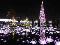 【特典付】日本３大イルミネーション光の花の庭『あしかがフラワーパーク』へ行こう！＜2食付＞