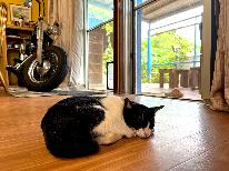 【2連泊】カヌーも星空も満喫!石垣島の自然に溶け込む2連泊以上プラン