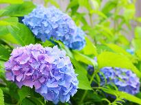 【特典付】翠雨の隠れ宿こもり。レイトチェックアウトでのんびり雨音に癒されなにもしない贅沢を。