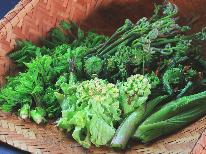 【大山の山菜食べつくし】採れたて！春だけの“旬のごちそう”をふんだんに♪ペットとの自然散策にもおすすめ
