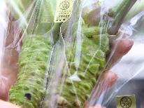 【期間限定】特典付☆わさび品評会優秀賞記念☆本わさびを２本プレゼント！最高級トレーラーハウスに泊まろう-素泊り-